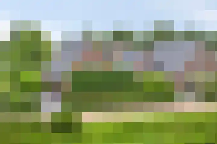 De Muijnhorn 20 Oosterwolde thumbnail 7