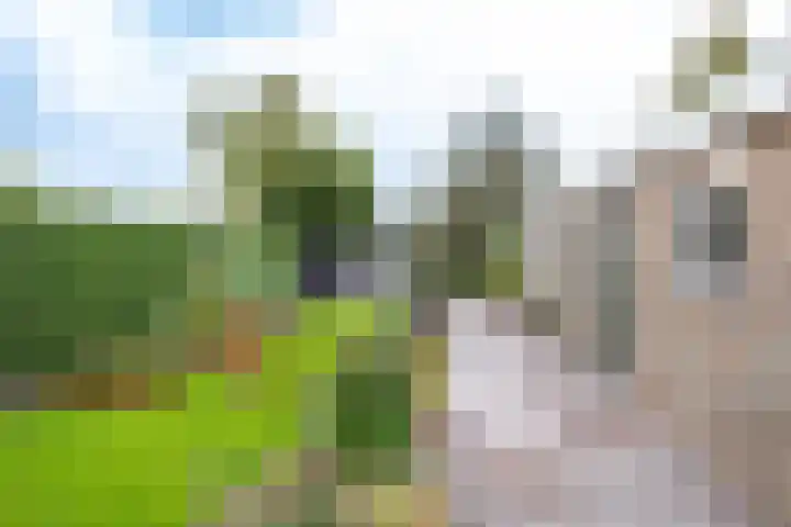 De Muijnhorn 6 Oosterwolde thumbnail 33