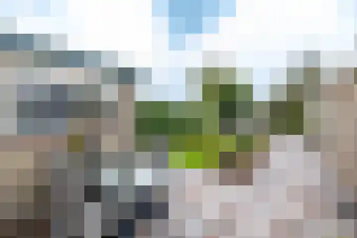 De Muijnhorn 6 Oosterwolde thumbnail 34