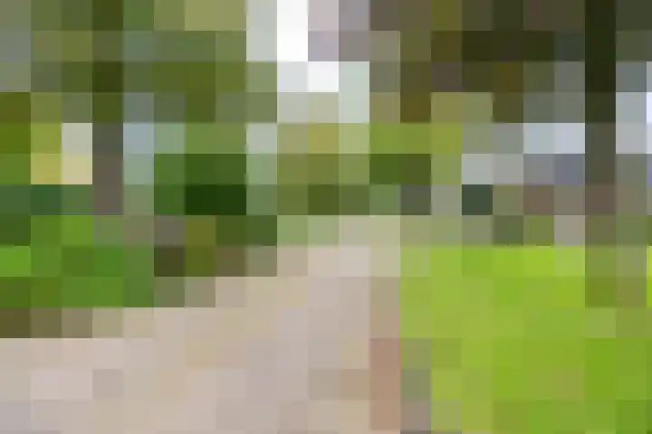 De Muijnhorn 6 Oosterwolde thumbnail 4