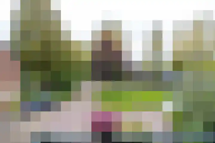 De Muijnhorn 6 Oosterwolde thumbnail 52