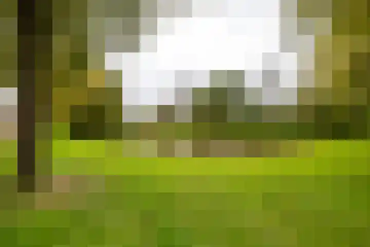 De Muijnhorn 6 Oosterwolde thumbnail 6