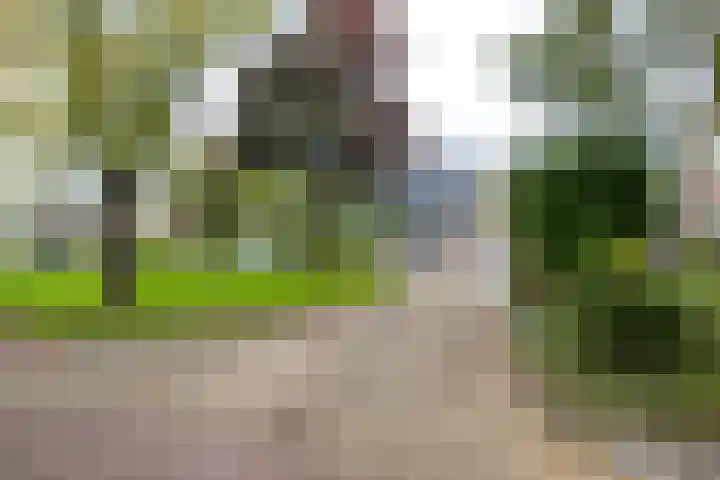 De Muijnhorn 6 Oosterwolde thumbnail 7