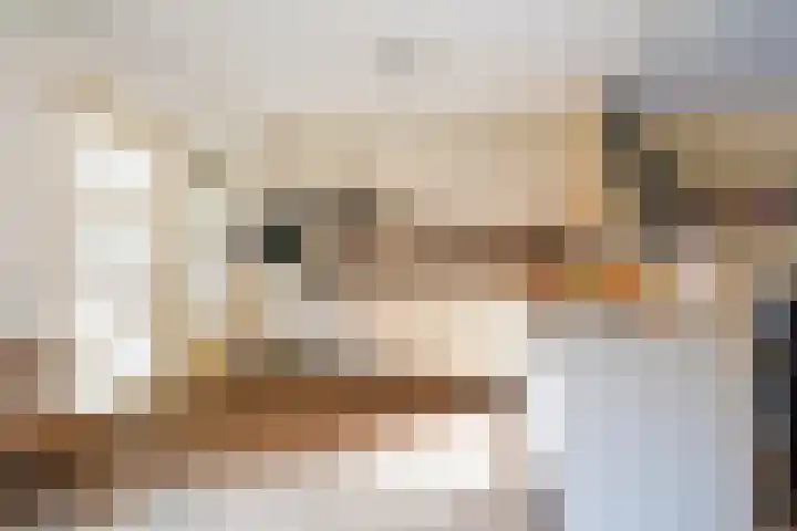 De Mulder 1 Boxtel thumbnail 22