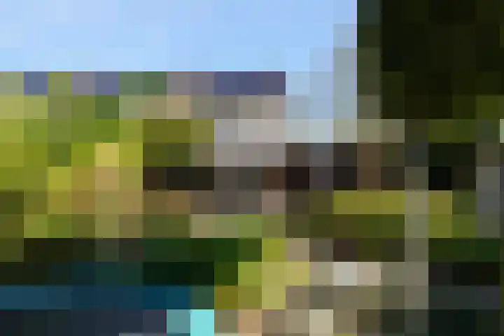 De Mulder 1 Boxtel thumbnail 52
