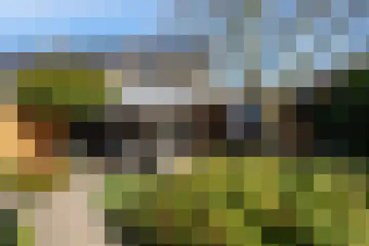 De Mulder 1 Boxtel thumbnail 53