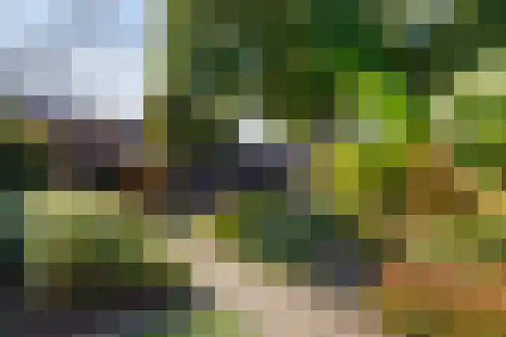 De Mulder 1 Boxtel thumbnail 54