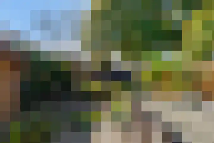 De Mulder 1 Boxtel thumbnail 55