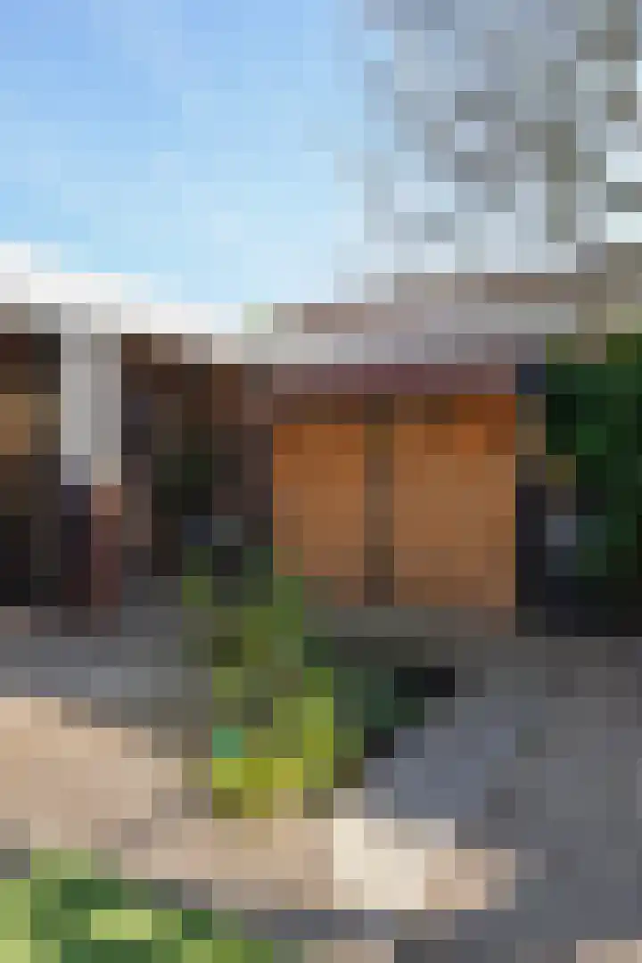 De Mulder 1 Boxtel thumbnail 57