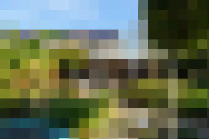De Mulder 1 Boxtel thumbnail 58