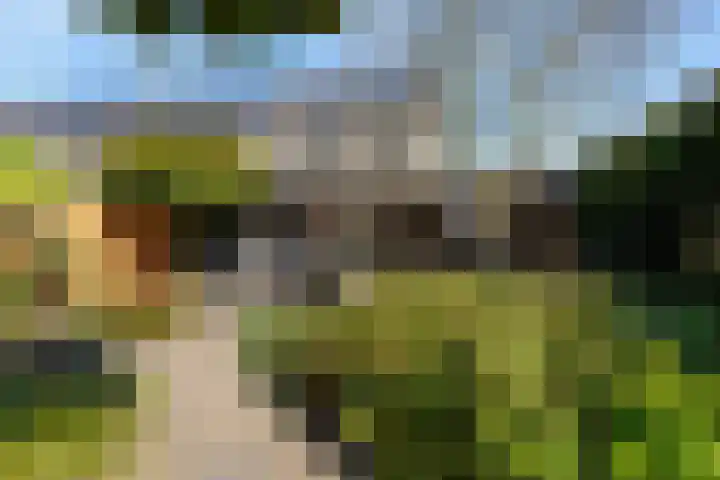 De Mulder 1 Boxtel thumbnail 59
