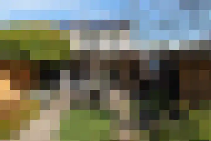 De Mulder 1 Boxtel thumbnail 60