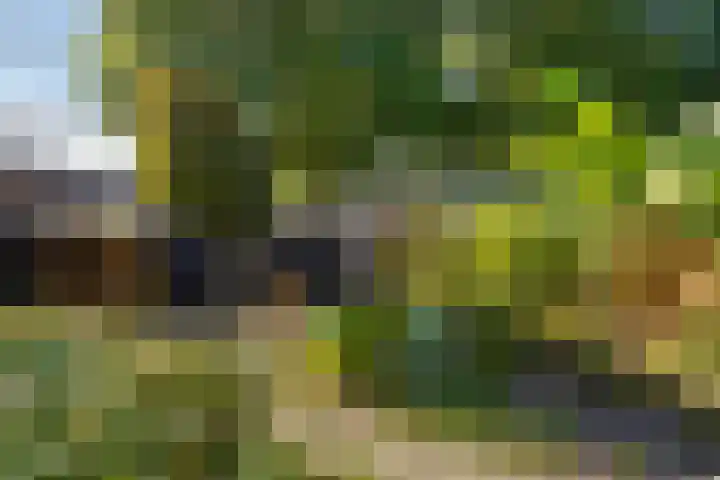 De Mulder 1 Boxtel thumbnail 61