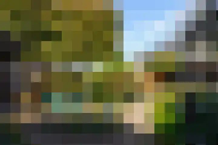 De Mulder 1 Boxtel thumbnail 62