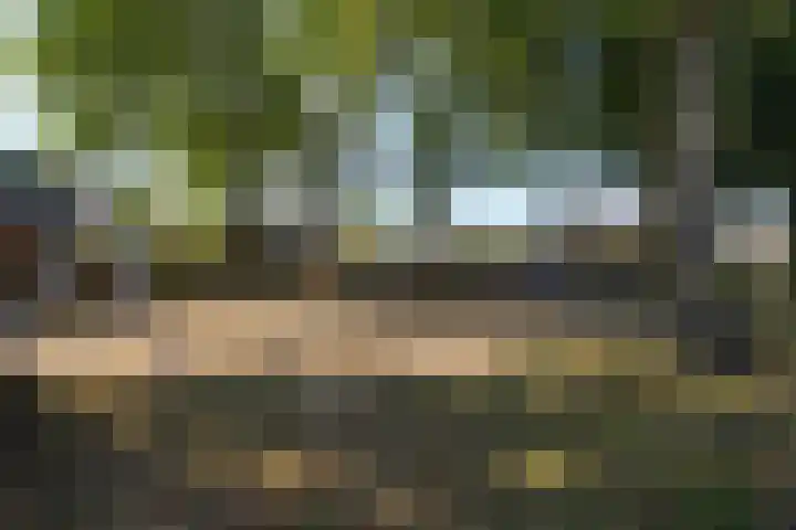 De Mulder 1 Boxtel thumbnail 63