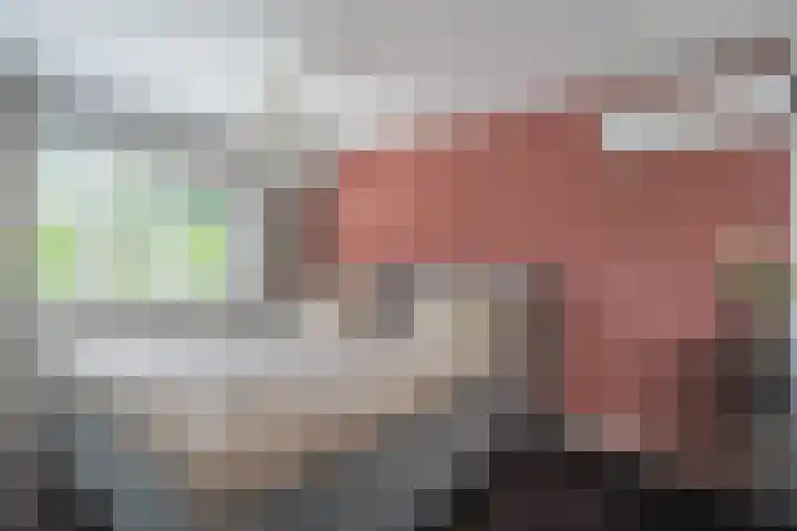 De Mulder 1 Sint-Michielsgestel thumbnail 12