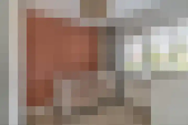 De Mulder 1 Sint-Michielsgestel thumbnail 13