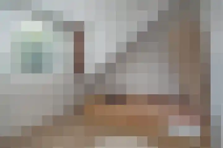 De Mulder 1 Sint-Michielsgestel thumbnail 21