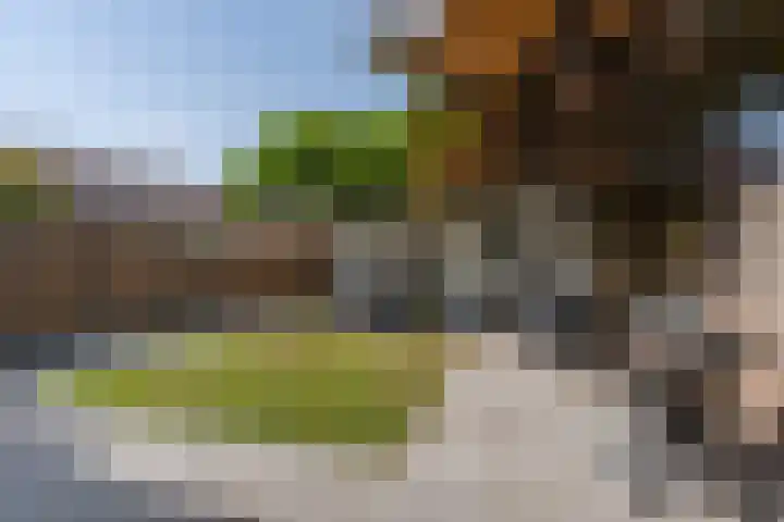 De Mulder 1 Sint-Michielsgestel thumbnail 23