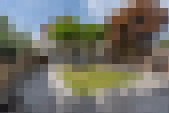 De Mulder 1 Sint-Michielsgestel thumbnail 24
