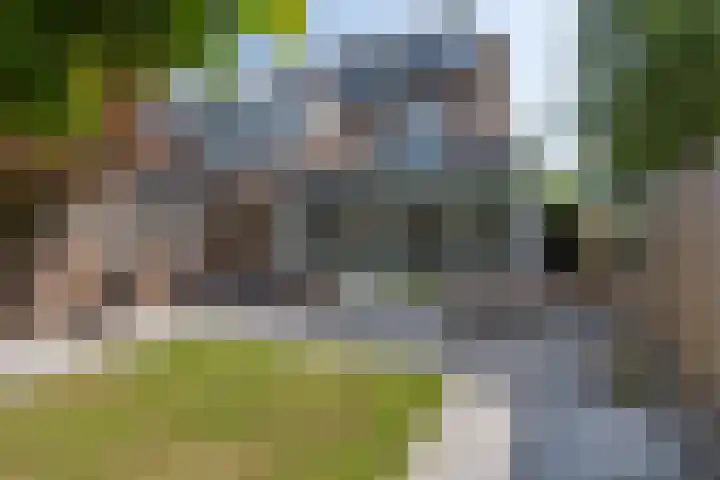 De Mulder 1 Sint-Michielsgestel thumbnail 26