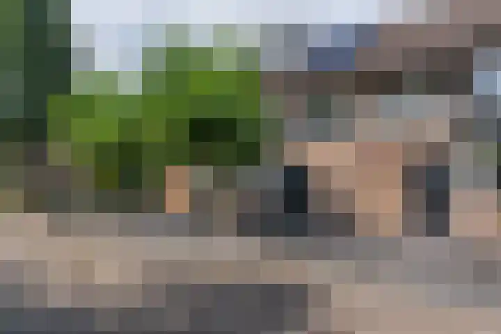 De Mulder 1 Sint-Michielsgestel thumbnail 37