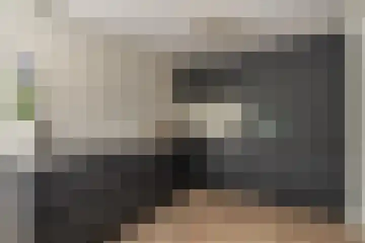 De Mulder 1 Sint-Michielsgestel thumbnail 8