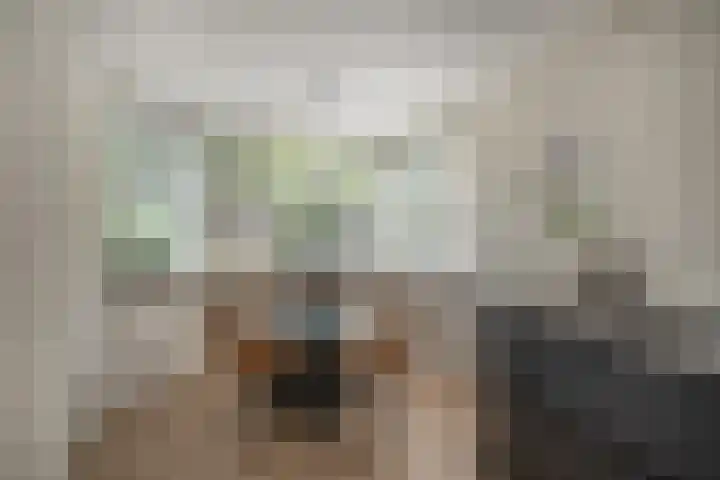 De Mulder 1 Sint-Michielsgestel thumbnail 9