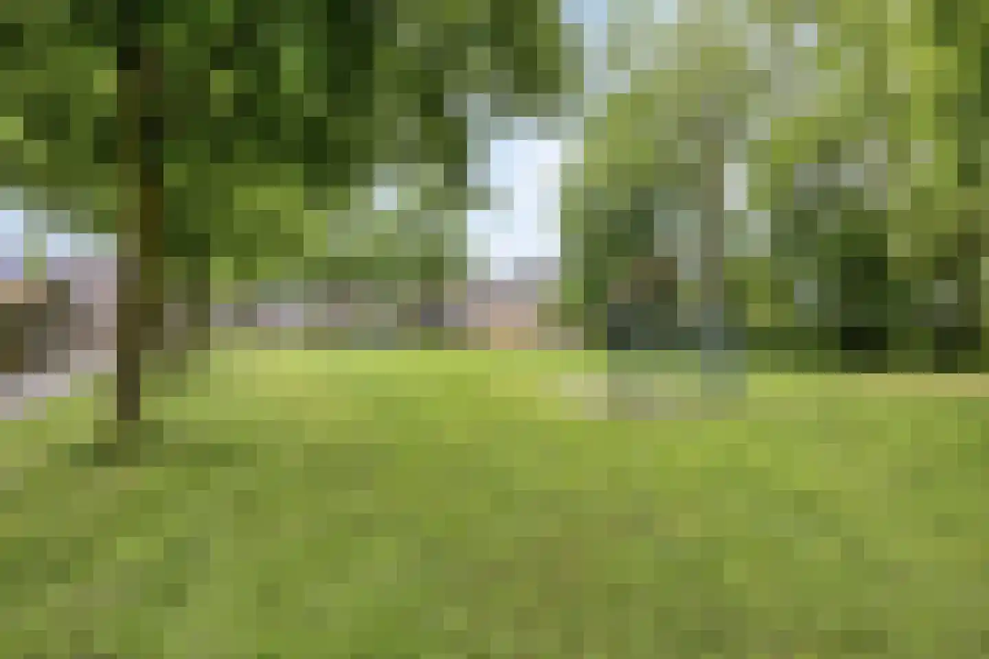 De Mulder 22 Boxtel thumbnail 53