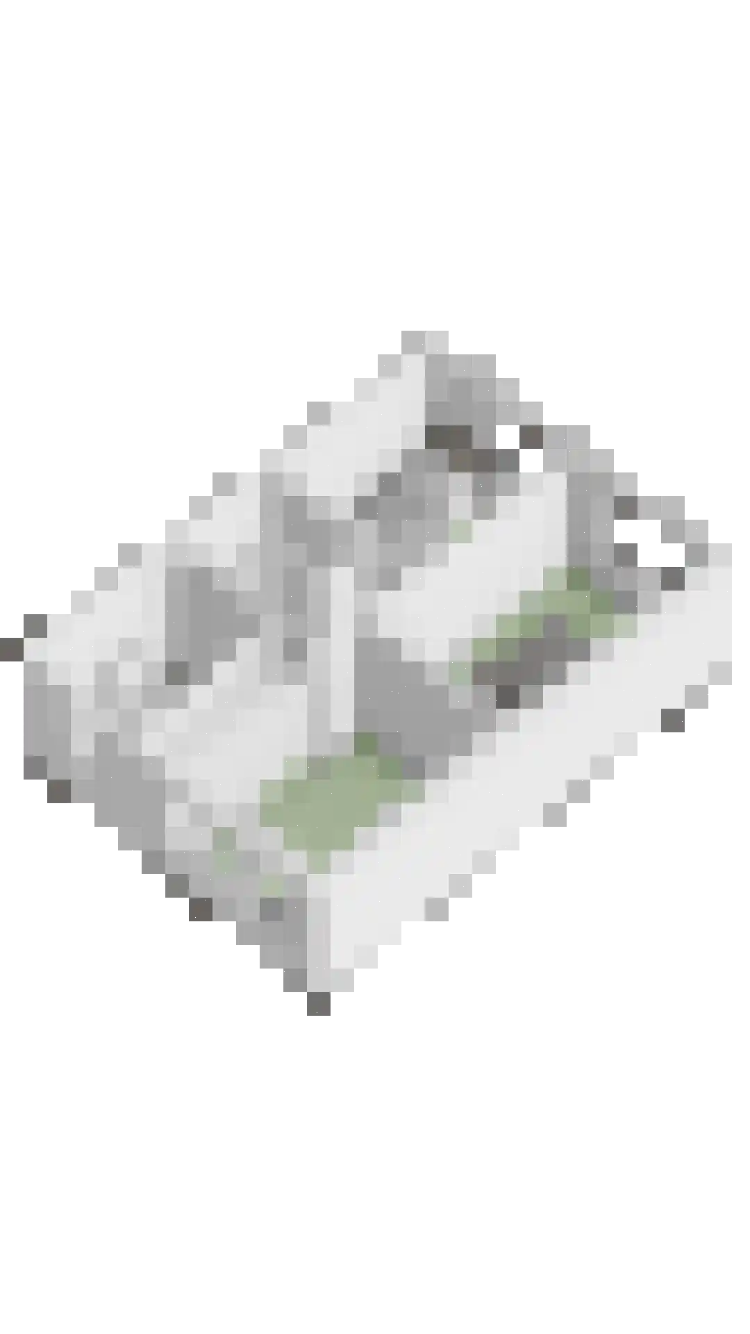 De Mulder 22 Boxtel thumbnail 60
