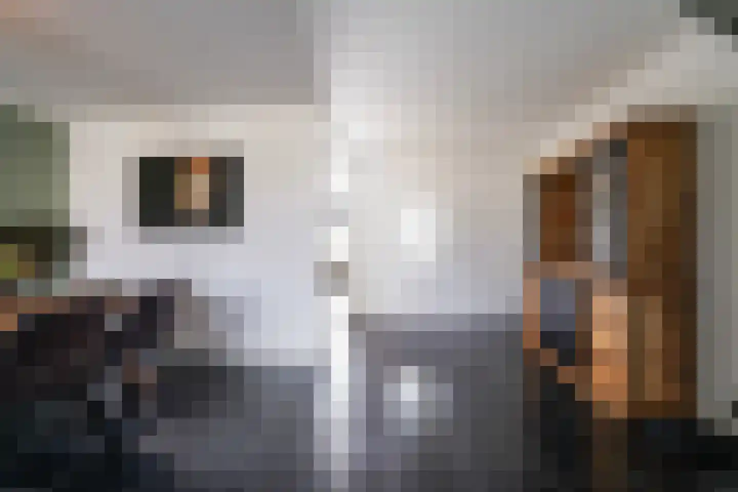 De Mulder 3 Sint-Michielsgestel thumbnail 11