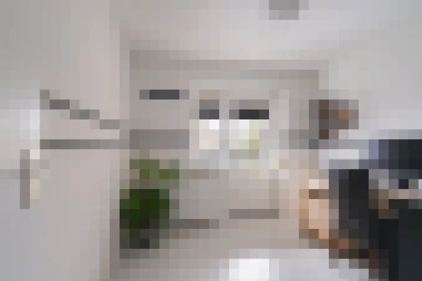 De Mulder 3 Sint-Michielsgestel thumbnail 38