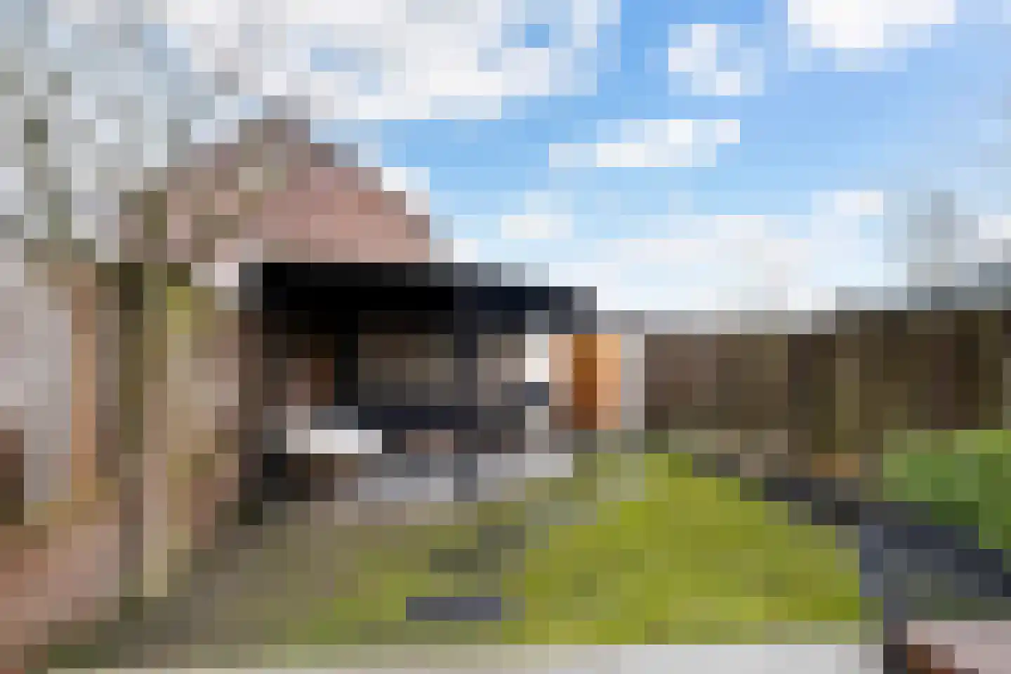 De Mulder 3 Sint-Michielsgestel thumbnail 45