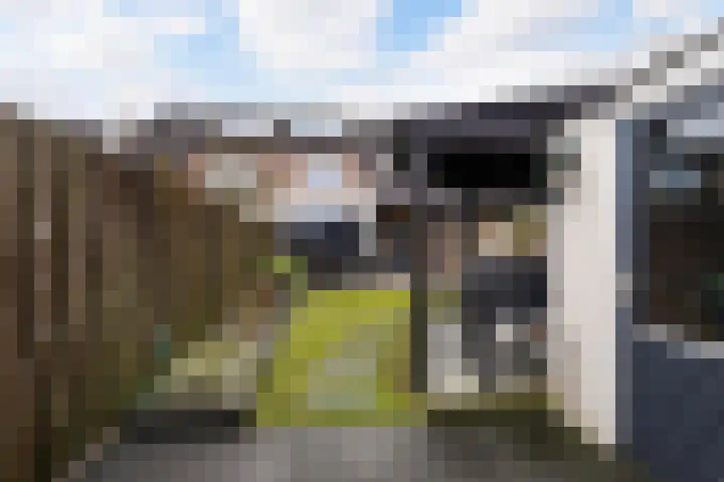 De Mulder 3 Sint-Michielsgestel thumbnail 48
