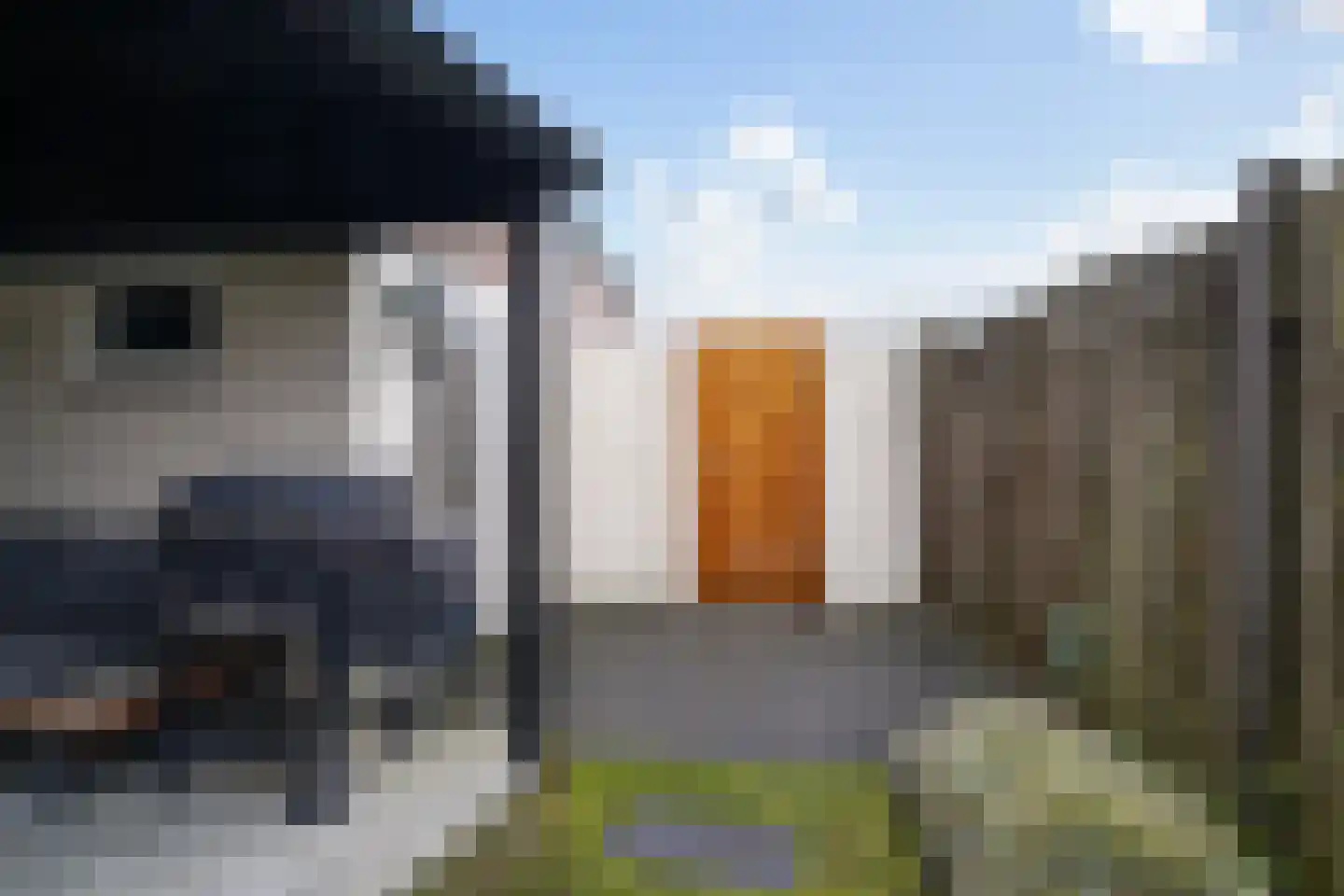 De Mulder 3 Sint-Michielsgestel thumbnail 49