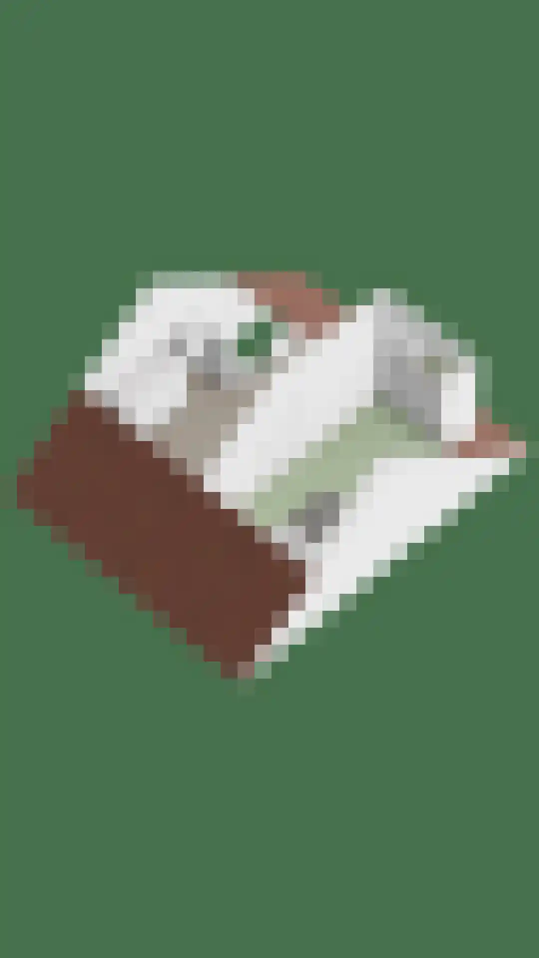 De Mulder 3 Sint-Michielsgestel thumbnail 62
