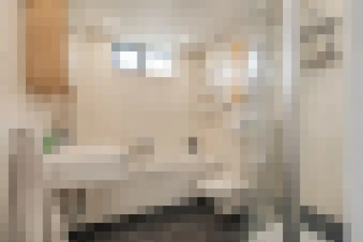 De Mulder 37 Sint-Michielsgestel thumbnail 15