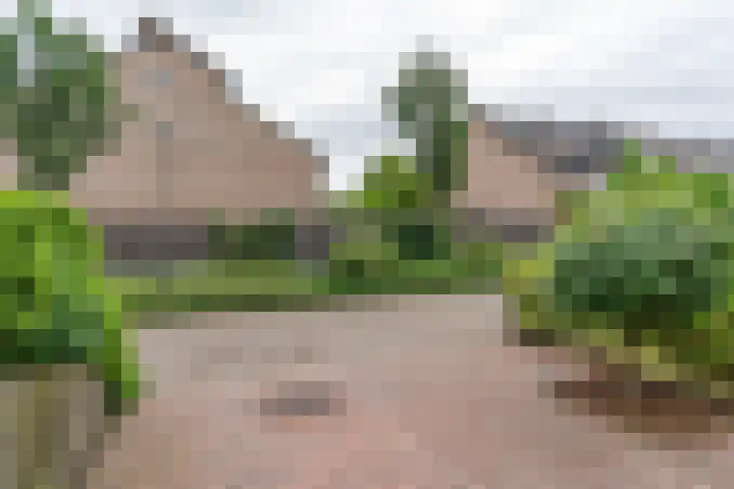 De Mulder 37 Sint-Michielsgestel thumbnail 21