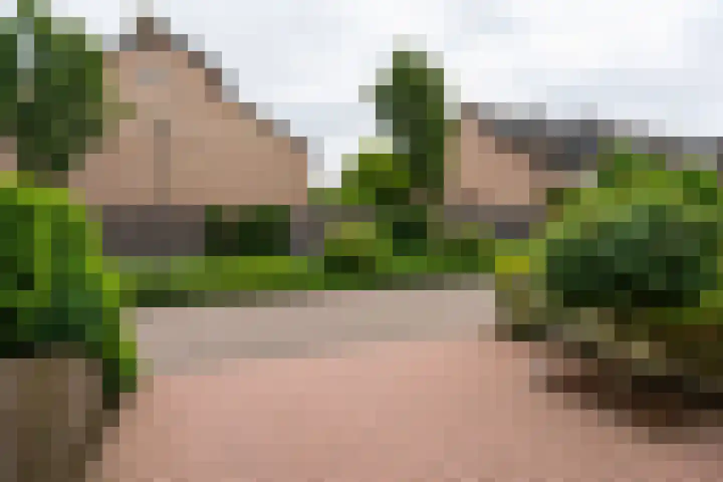 De Mulder 37 Sint-Michielsgestel thumbnail 23