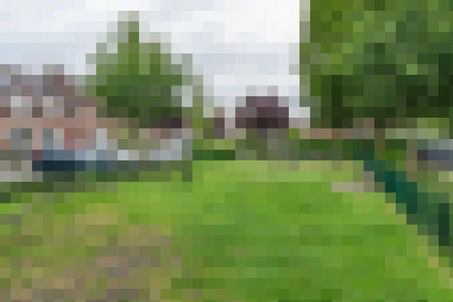De Mulder 37 Sint-Michielsgestel thumbnail 24