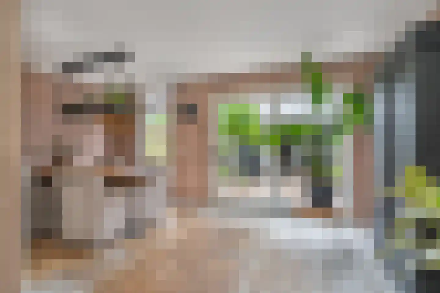 De Mulder 37 Sint-Michielsgestel thumbnail 5