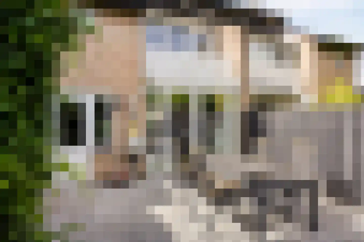 De Mulder 42 Sint-Michielsgestel thumbnail 39