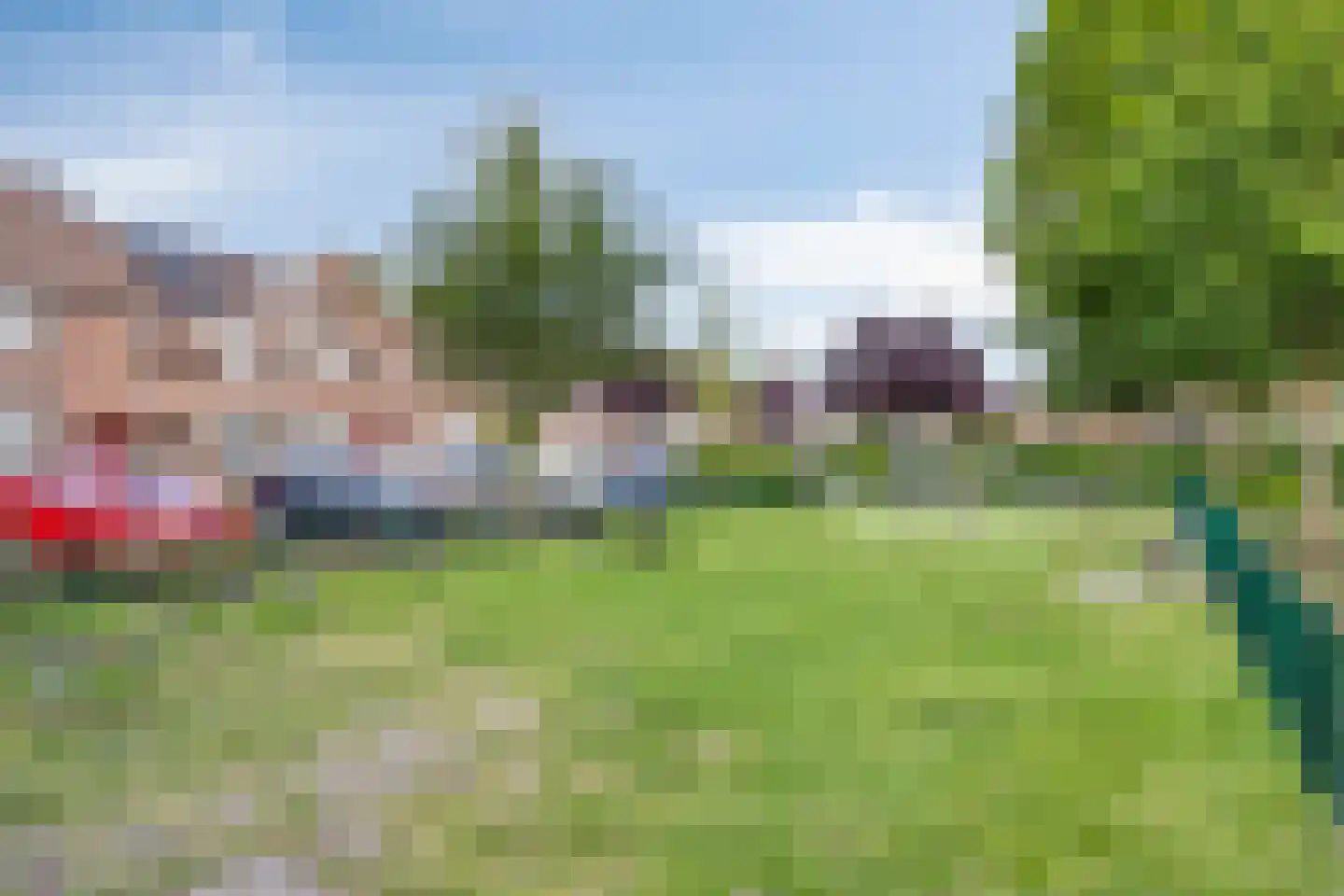 De Mulder 42 Sint-Michielsgestel thumbnail 45