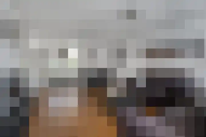 De Mulder 87 Sint-Michielsgestel thumbnail 4