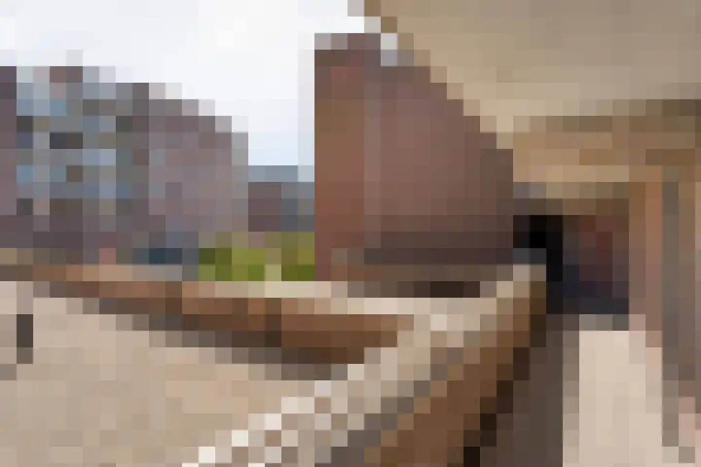 De Mulderij 109 Hardenberg thumbnail 8