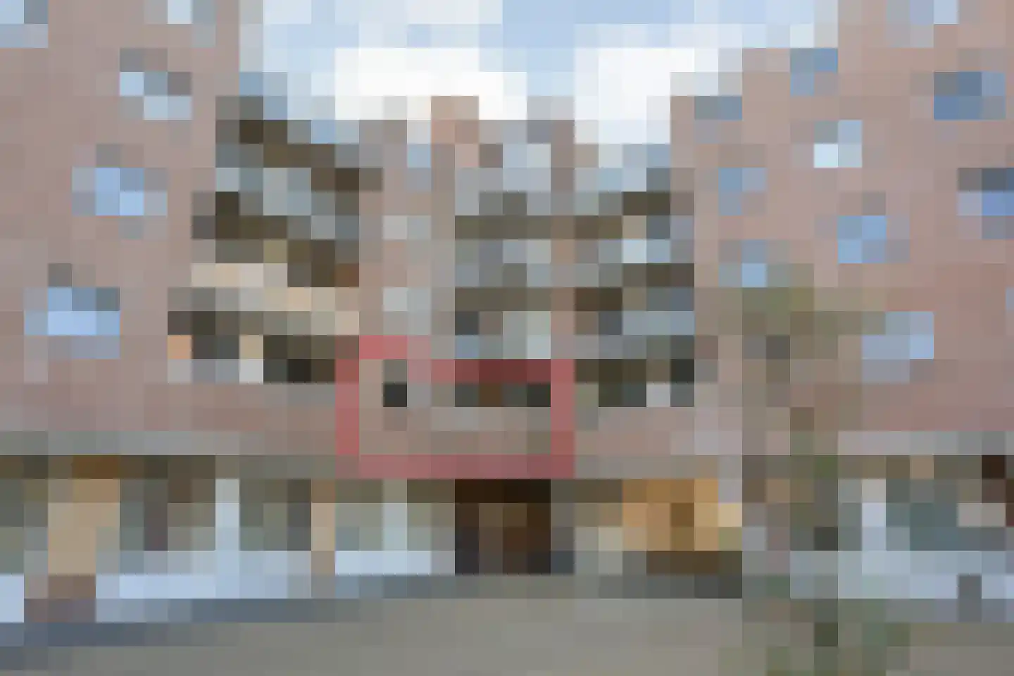 De Mulderij 125 in Hardenberg