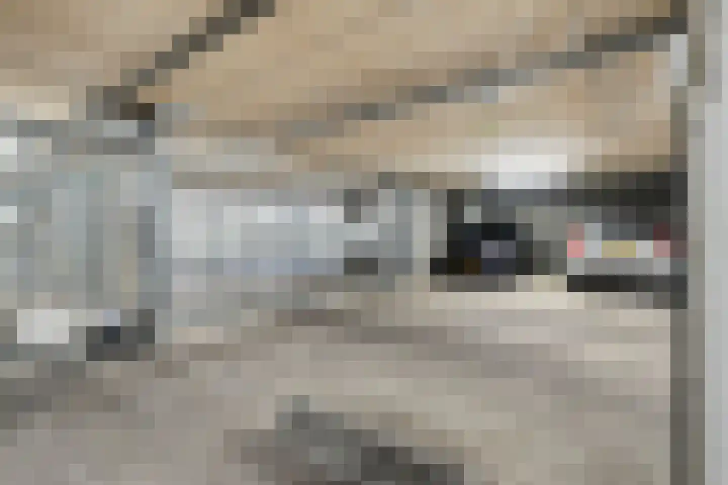 De Mulderij 125 Hardenberg thumbnail 36
