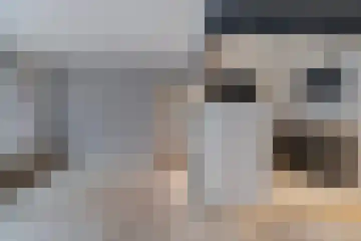 De Mulderij 127 Hardenberg thumbnail 12