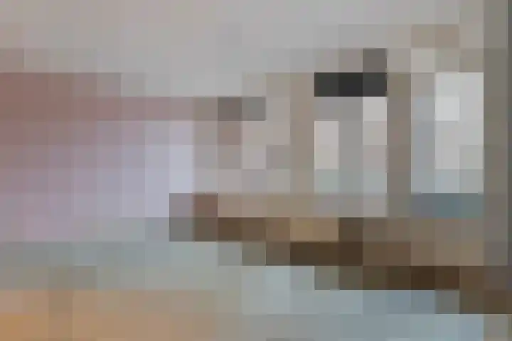 De Mulderij 127 Hardenberg thumbnail 8