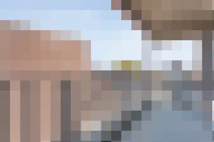 De Mulderij 218 Hardenberg thumbnail 27
